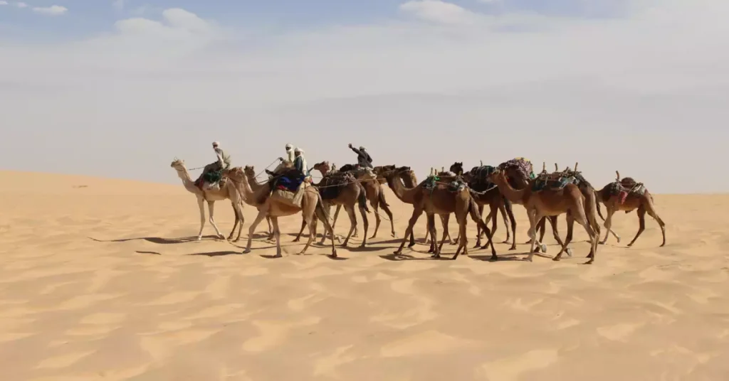 Abéché in Chad visaboards
