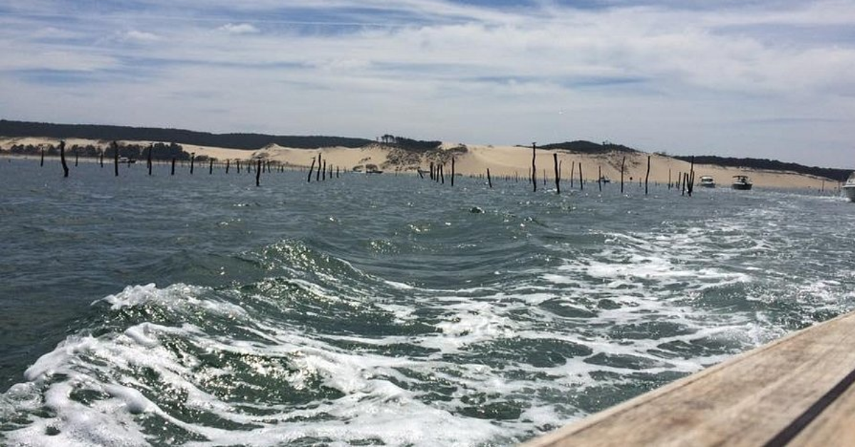 Banc d’Arguin National Park in Mauritania visaboards