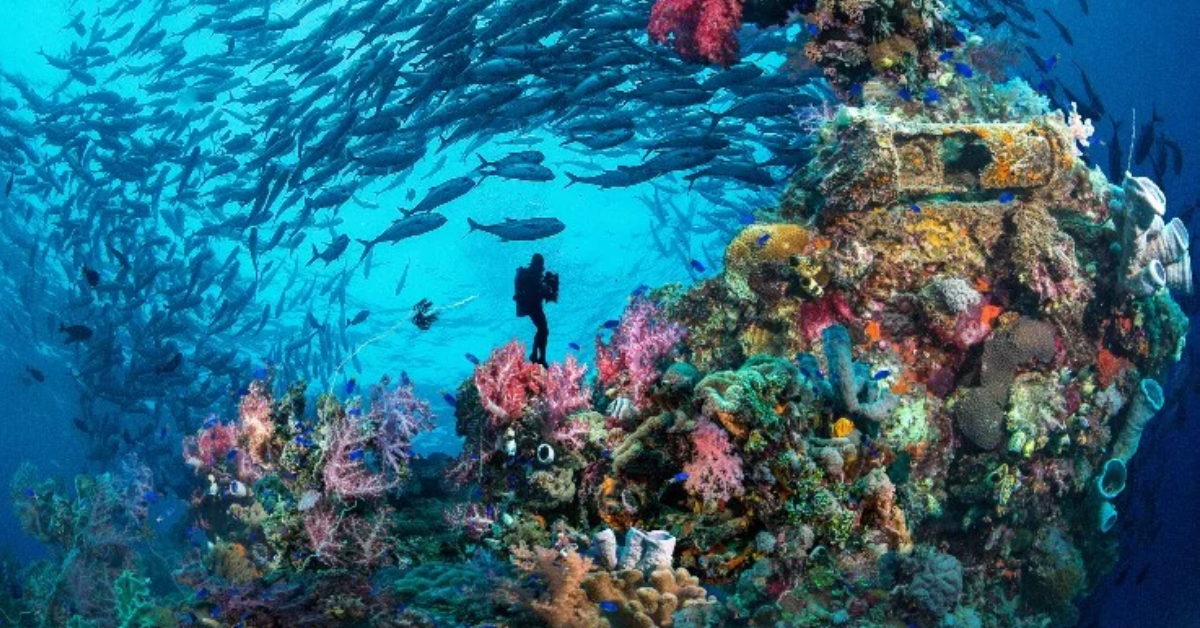 Chuuk Lagoon in Micronesia visaboards