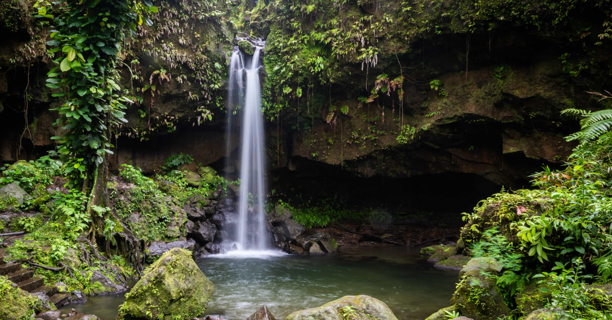 Emerald Pool Region in Dominica visaboards