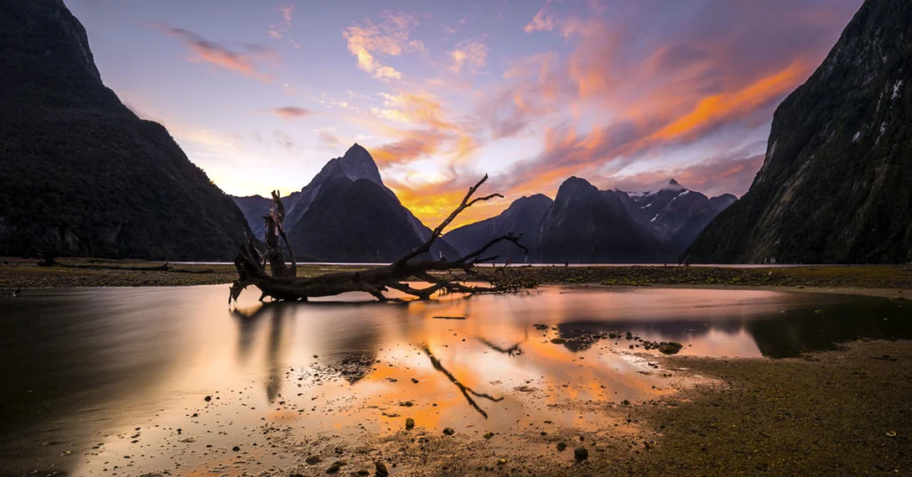 Fiordland Region (Including Milford Sound) in New Zealand visaboards