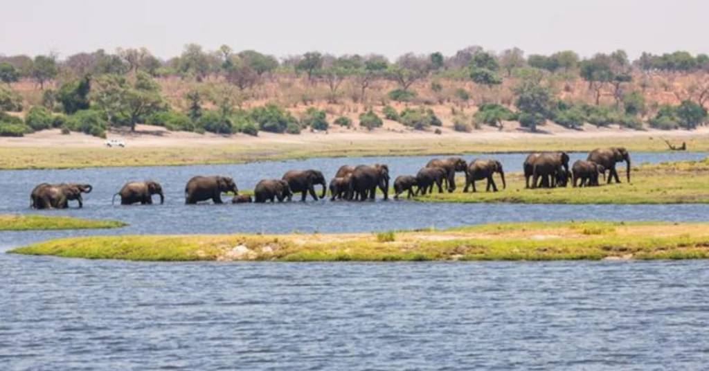 Lake Chad Region in Chad visaboards