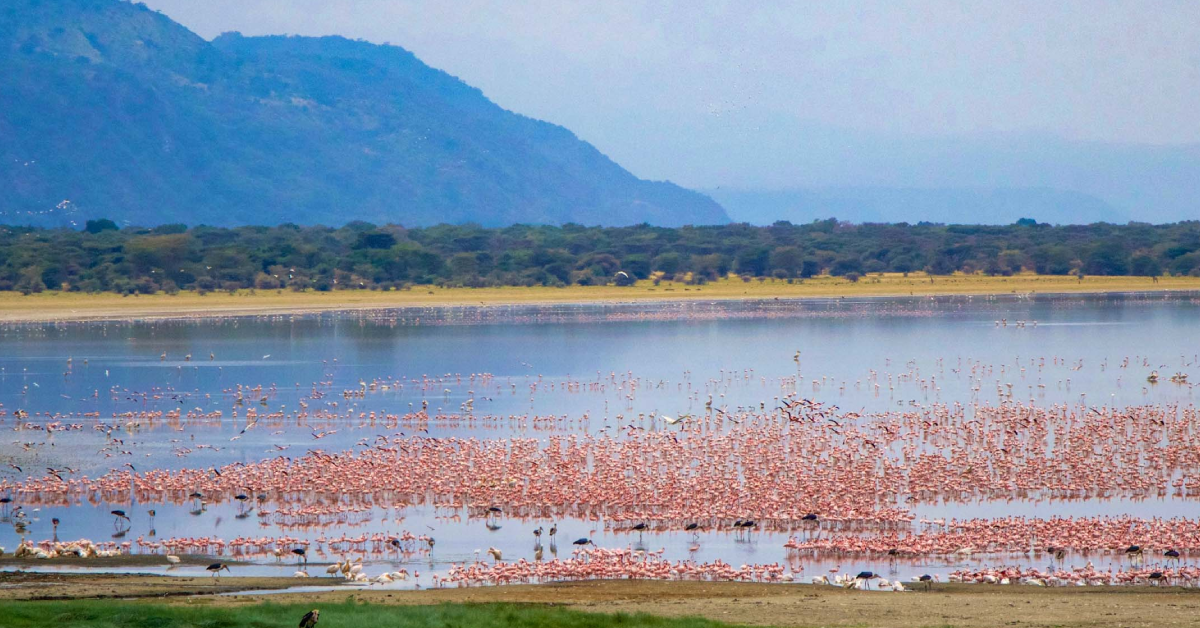 Lake Manyara Region in Tanzania visaboards