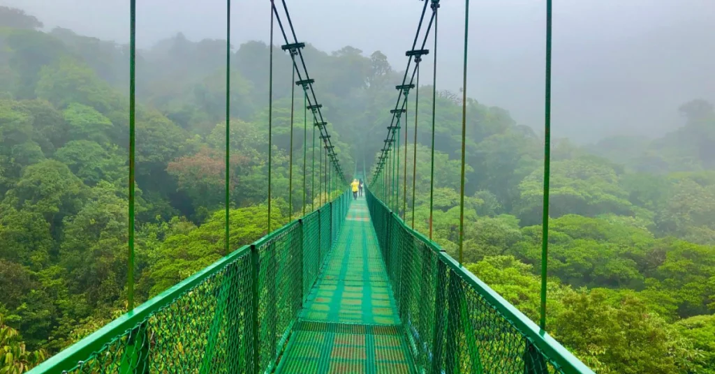 Monteverde Cloud Forest in Costa Rica visaboards