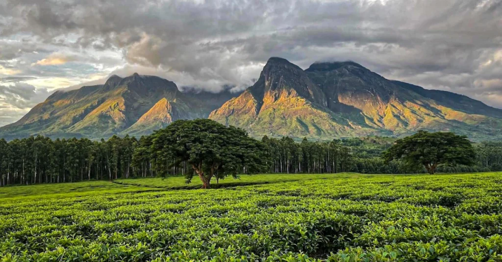 Mulanje Mountain in Malawi visaboards