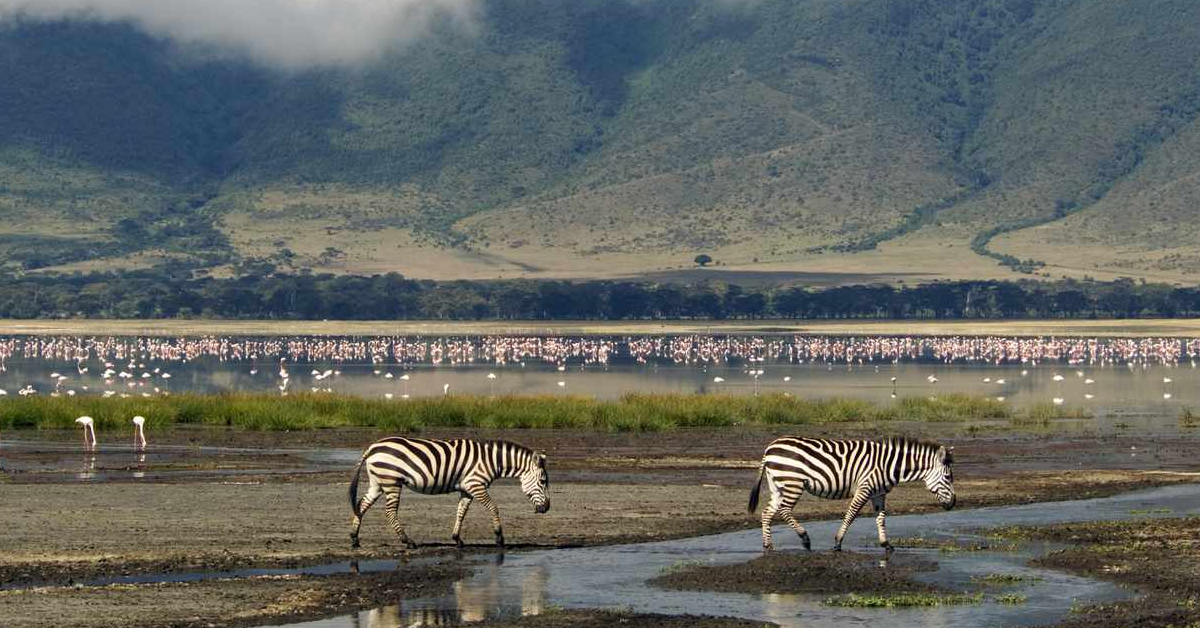 Ngorongoro Conservation Area in Tanzania visaboards