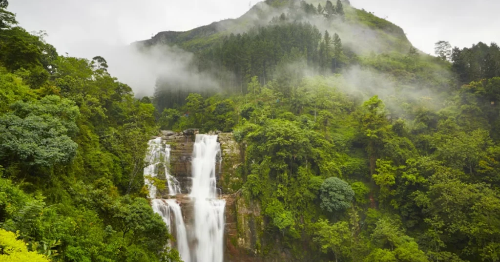 Nuwara Eliya in Sri Lanka visaboards