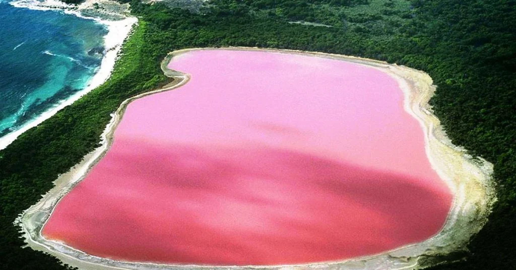 Pink Lake (Lac Rose) in Senegal visaboards