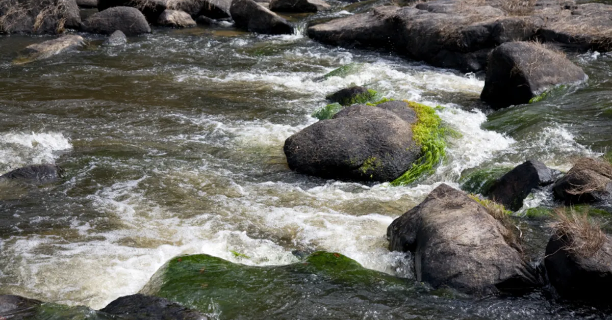 Raleigh Vallen (Raleigh Falls) in Suriname visaboards