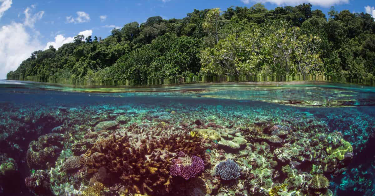 Rennell Island (East Rennell) in Solomon Islands visaboards