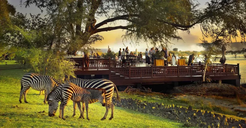 Royal Livingstone Victoria Falls Zambia Hotel – Livingstone visaboards