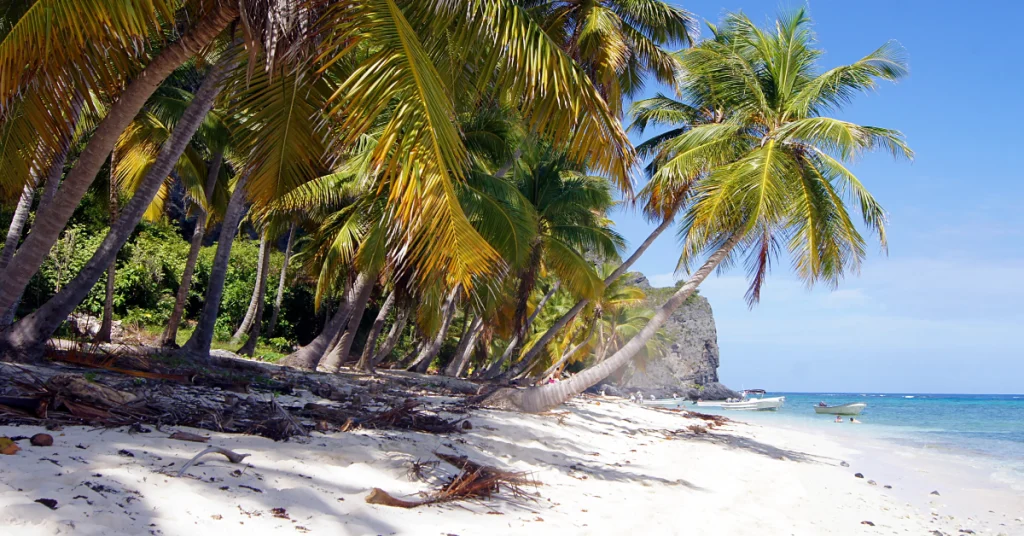 Samaná Peninsula in Dominican Republic visaboards
