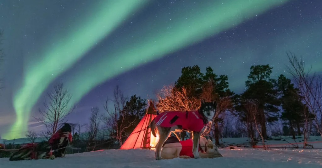 Swedish Lapland (Kiruna och Abisko) in Sweden visaboards