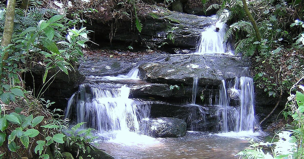 Ybycuí National Park in Paraguay visaboards